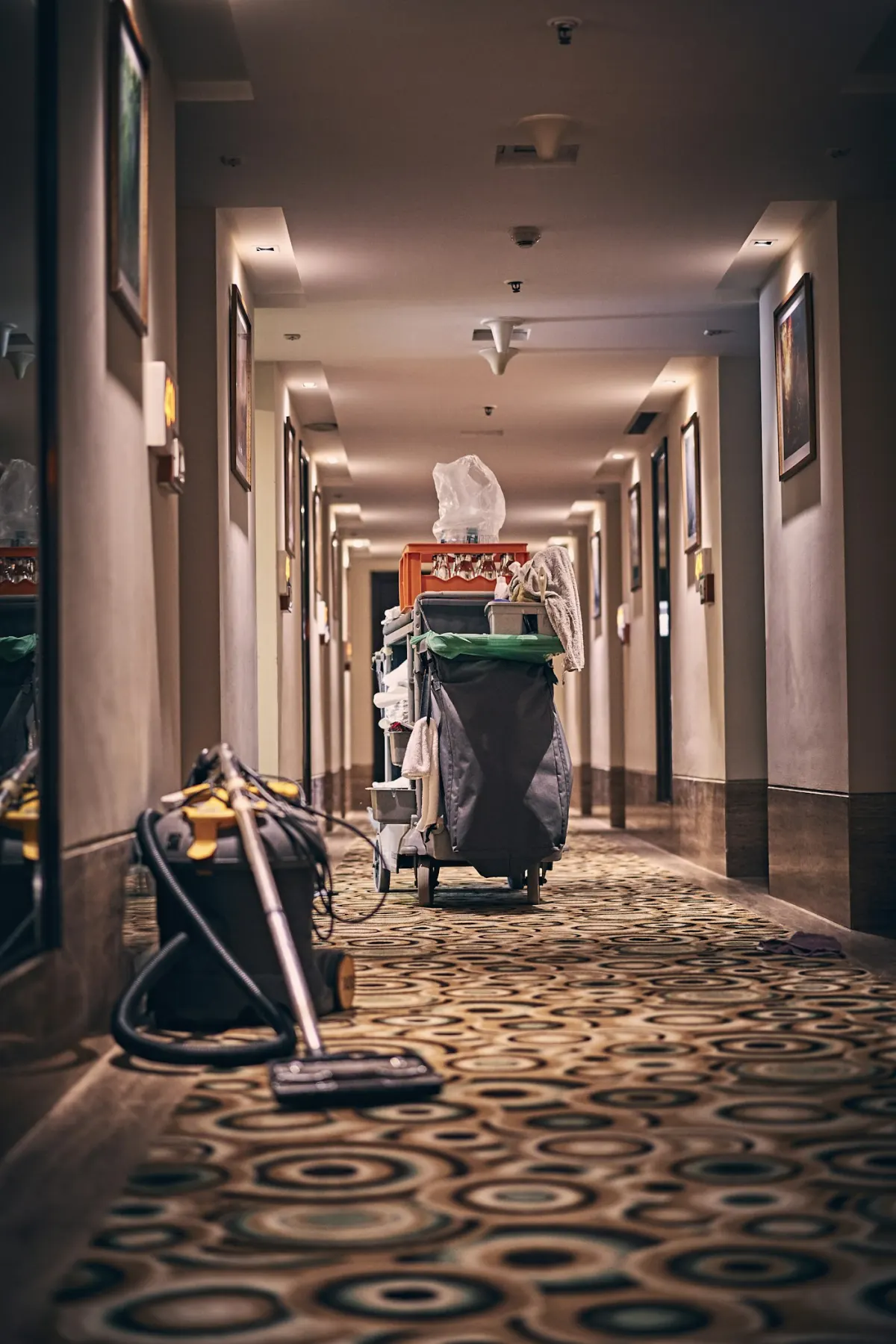 Camp Cleaner